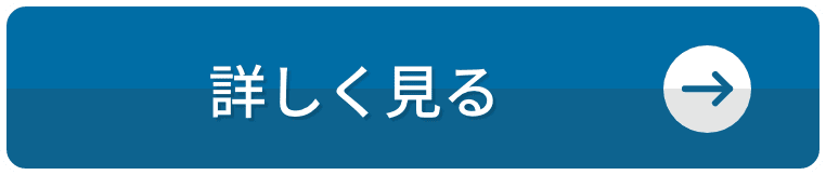 詳しく見る