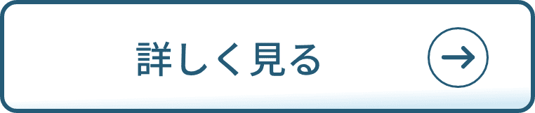 詳しく見る